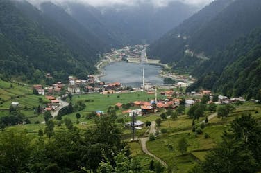 Uzungol and tea factory private half-day guide tour from Trabzon